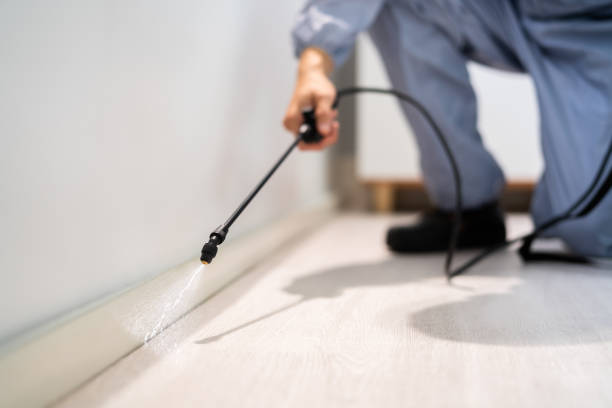 Licensed Termite Control service in Sutton County County, TX - Nex Pest Control