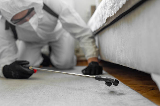Professional Termite Control technician working in Sutton County County, TX